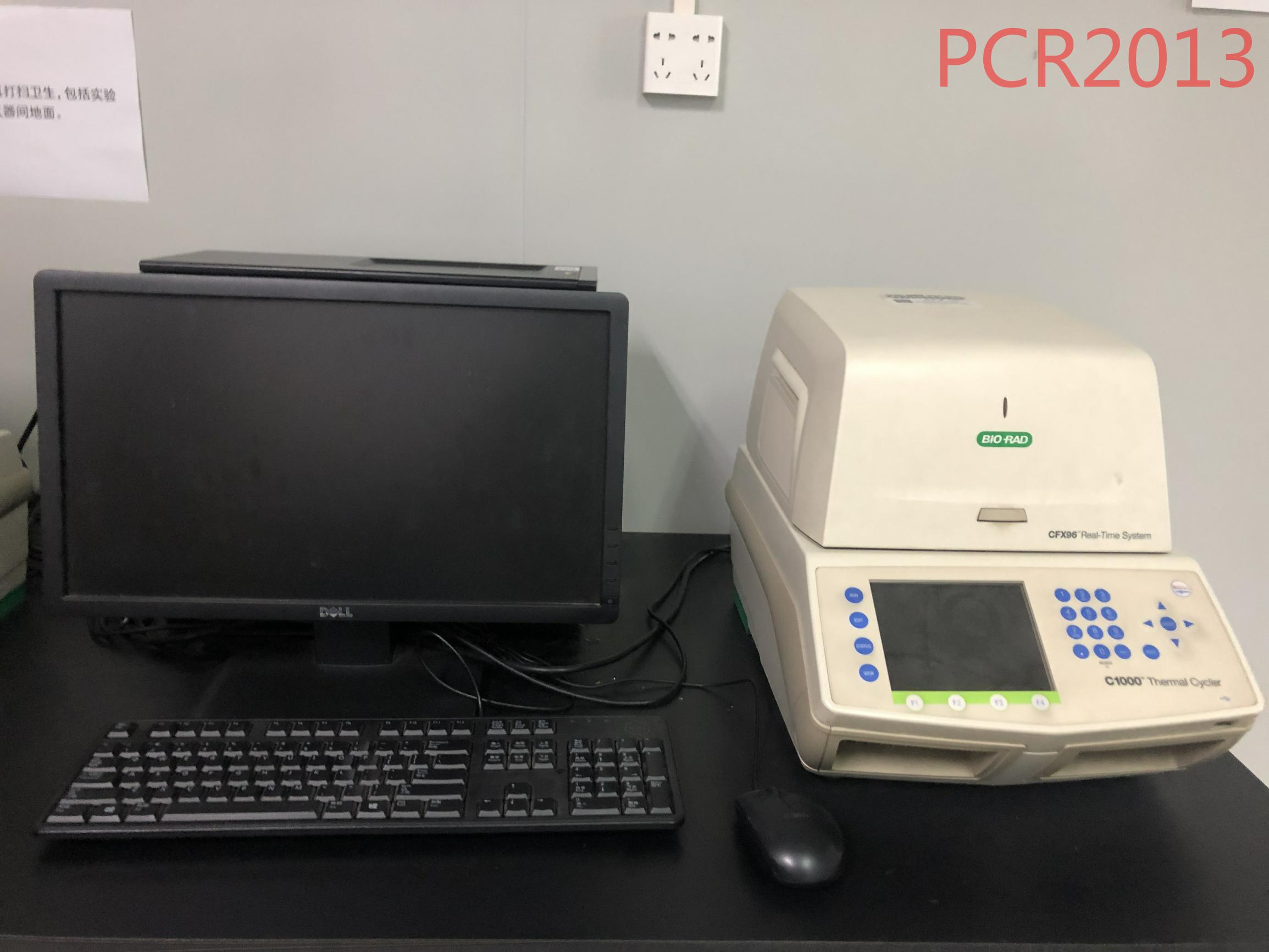 荧光定量PCR仪( 2013,96孔）