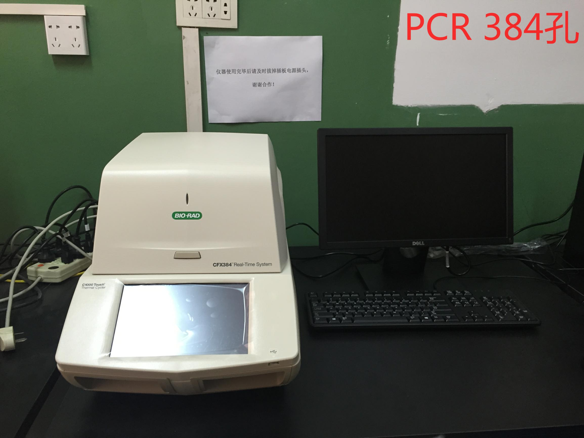 实时定量PCR仪（384孔）