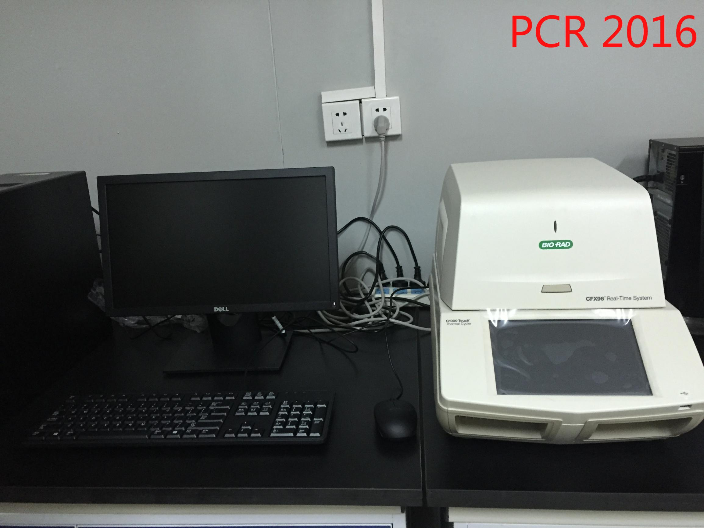 实时定量PCR仪 （2016，96孔）